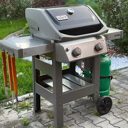 V Podkrkonosi